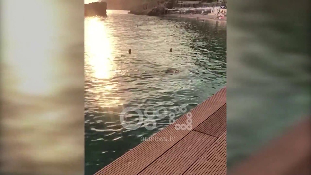 Ora News video ekskluzive/Pasi i çoi 'selam' Thaçit, Haradinaj relaksohet në Jalë