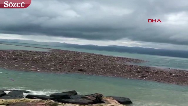 Ordu’da sel felaketinde tonlarca fındık denize aktı