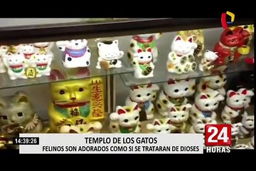 Maneki Neko: esta es la historia del llamado "Gato de la Suerte"