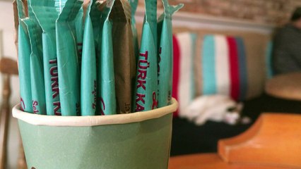 International Cat Day: cool cats from Istanbul to Taiwan