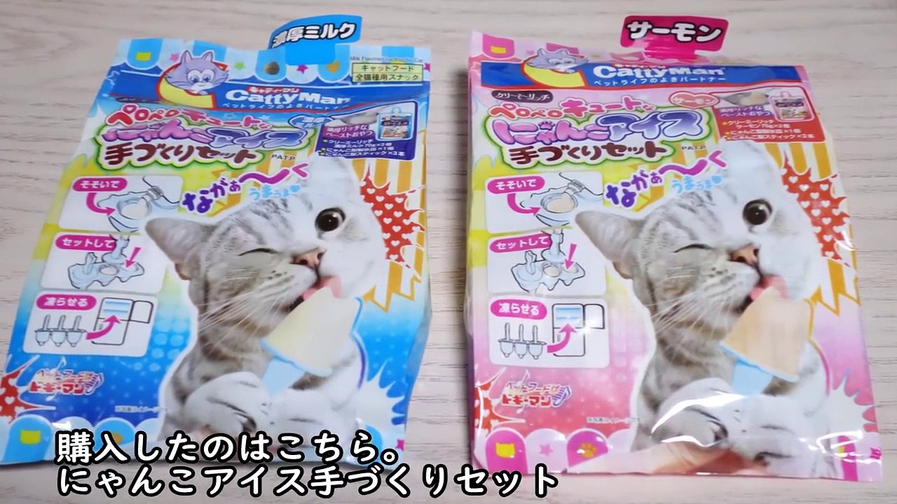 爆笑！にゃんこアイスを猫の前で作っていたらまさかの事態ｗ☆アウトローすぎなリキちゃん&パパ☆猫と一緒に商品紹介【リキちゃんねる　猫動画】Cat video　キジトラ猫との暮らし
