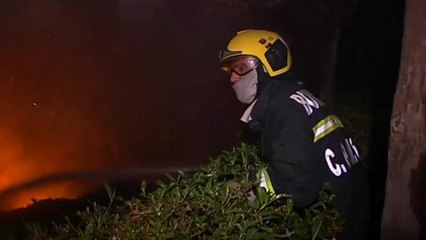 Forest fires continue to rage in Portugal and Spain