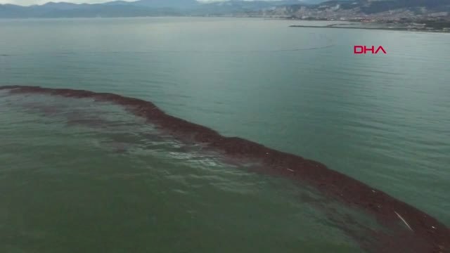 Ordu'da Selin Denize Döktüğü Fındıklar Havadan Böyle Görüntülendi