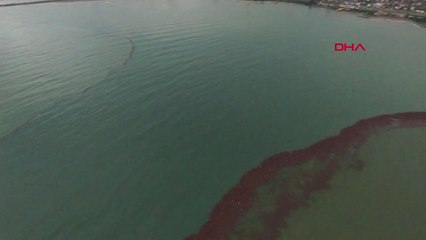 Ordu'da Selin Denize Döktüğü Fındıklar Havadan Böyle Görüntülendi