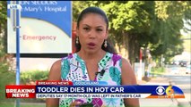 Toddler Dies After Being Left in Car During Sweltering Virginia Heat