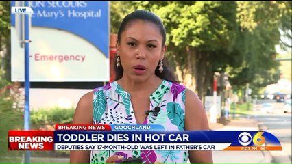 Toddler Dies After Being Left in Car During Sweltering Virginia Heat