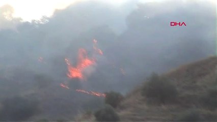 Aydın'da Korkutan Yangın