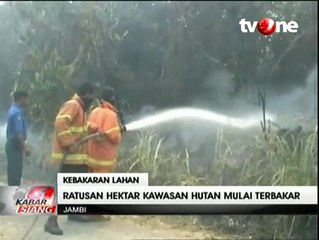 Ratusan Hektare Hutan di Sepanjang Jalinsum Dilalap Api