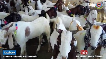 VID-20180809-WA0017
