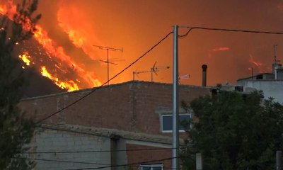Kebakaran Hutan di Spanyol, 2.500 Warga Dievakuasi
