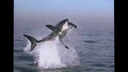 Scariest Creatures Caught While Fishing
