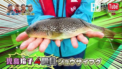 【釣】東京湾　大貫沖で　初夏の湾フグ釣り