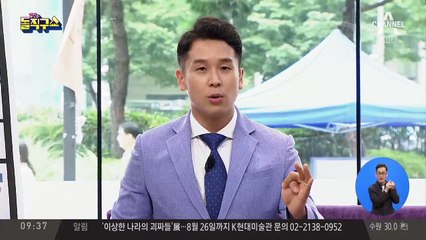 ‘유령 보물선’ 띄운 건…감방 동기 사기꾼과 연인들?