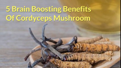 5 Cordyceps Mushroom Benefits that Boosts the Brain