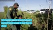 U.S.-Mexico Border Arrests Fall In July