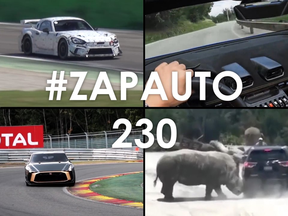 #ZapAuto 230