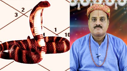 शंखपाल  कालसर्प योग क्या होता है , कैसे करें दूर। Remedies for Shankpaal Dosha | Boldsky