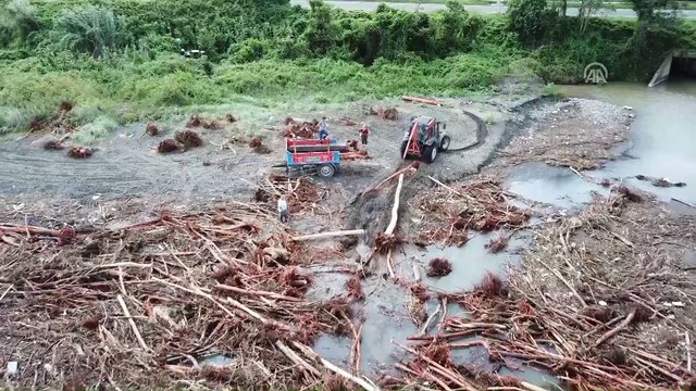 Selin denize sürüklediği fındık ağaçları havadan görüntülendi - ORDU