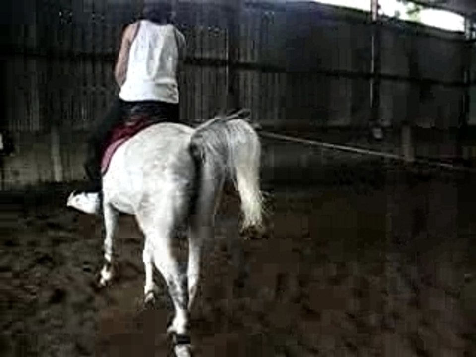 Matthieu monte Mahdi