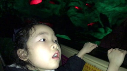 무서워? 겁내지마! 롯데월드 어드벤쳐 무서운 놀이기구 도전 lotte world adventure theme park l kids cafe l 키즈카페