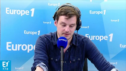 Abandons d'animaux : "On a encore du travail d'éducation à faire"