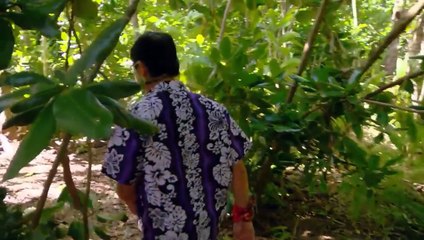 Episode 4: Exit Interview