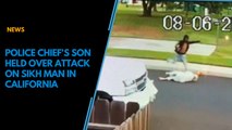CCTV footage: Police chief's son kicks, robs elderly Sikh in California, arrested