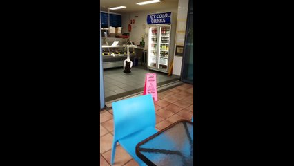 Un pelican qui fait la queue à la poissonnerie...