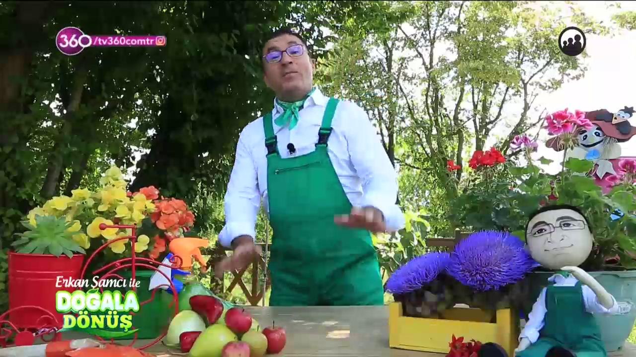 Doğala Dönüş