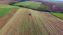 Hasat edilen buğday tarlalarında 'saman mesaisi' - KIRKLARELİ