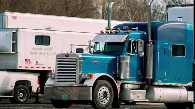 Eil Talks Chilling Confessions S01 - Ep03 Biting the Hand That Feeds HD Watch