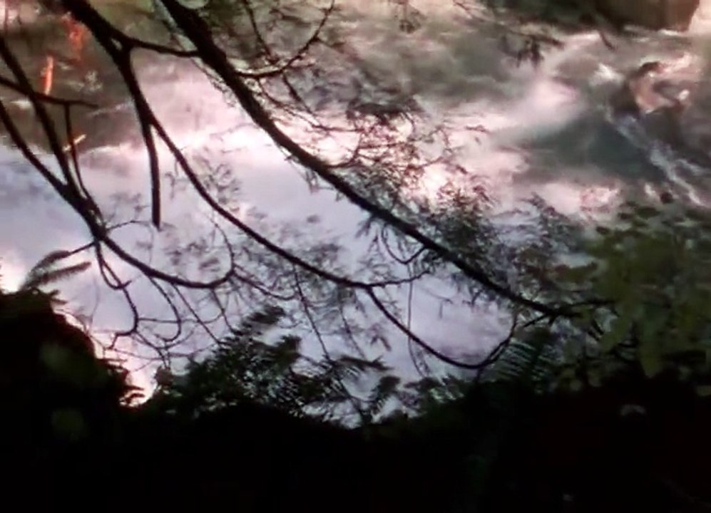 The Invader 1997  DVDrip    Part 02