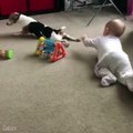 Dog teaches baby how to crawl...