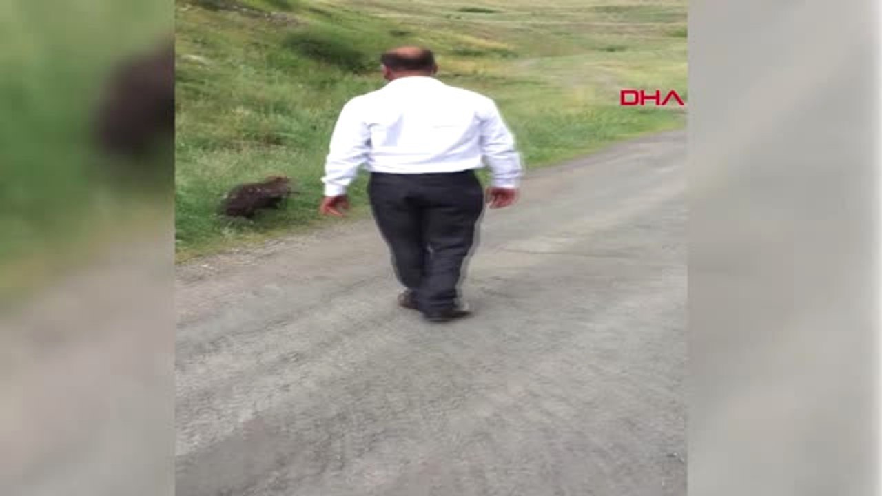 Kars Yaralı Kartal Tedavi Altına Alındı Hd