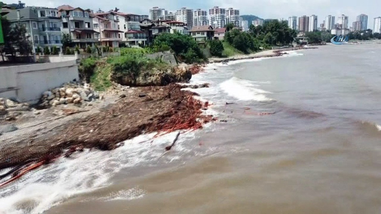 Fındık değil, ağaç topluluğu adası...Denize sürüklenen ağaç birikintisi havadan görüntülendi