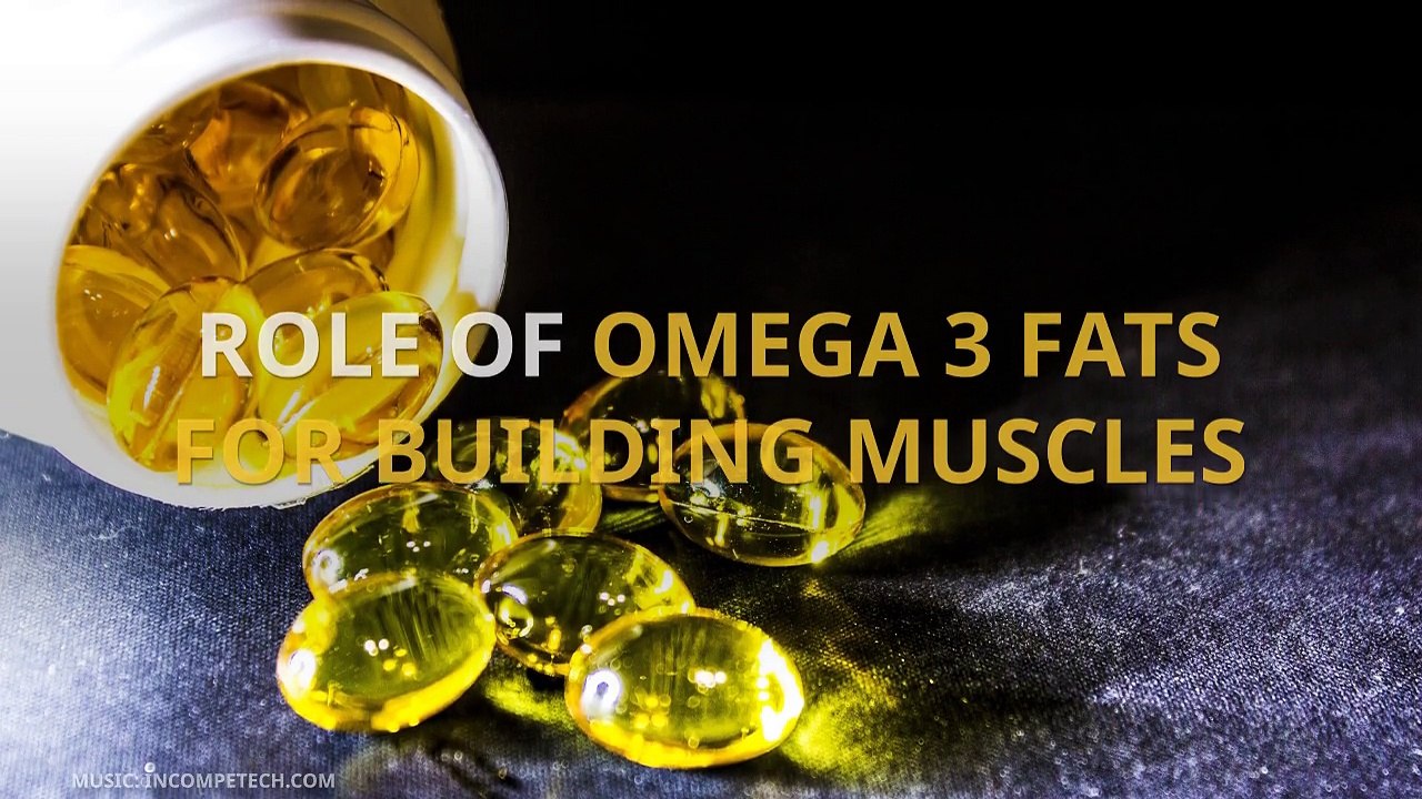ROLE OF OMEGA 3 FATS FOR BUILDING MUSCLES