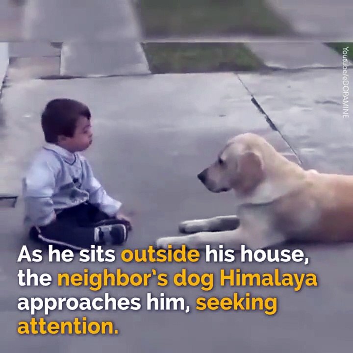 What the Neighbor's Dog Does to the Boy With Down's Syndrome Shows Why Dogs Are Truly Man's Best Friend