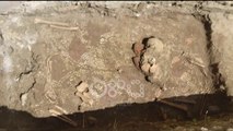 Ora News - Zbulohet mozaiku që hedh dritë mbi jetën në Berat në antikitetin e vonë