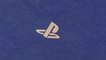 PlayStation 4 Pro 500 Million Limited Edition (déballage)
