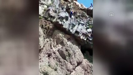 Mahsur kalan koyunların imdadına AFAD yetişti - AĞRI