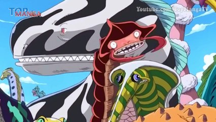 Tứ Hoàng Kaido là một "Hải Vương" và cũng thừa kế ý chí của gia tộc D?