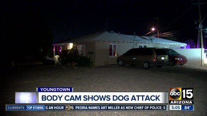VIDEO: Dog attacks MCSO K9 Tarzan