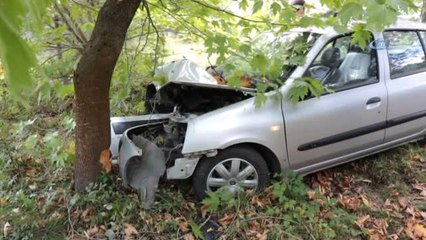 Kontrolden Çıkan Otomobil Ormanlık Alana Uçtu: 1 Yaralı