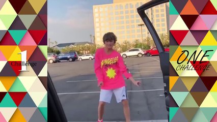 KiKi Do You Love Me Challenge Dance Compilation #inmyfeelings #dotheshiggy