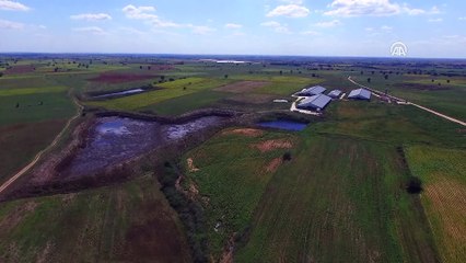 Biriktirme havuzundan dereye hayvan gübresi sızıntısı (2) - KIRKLARELİ