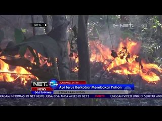 Kebakaran Hutan Terus Menjalar - NET 24