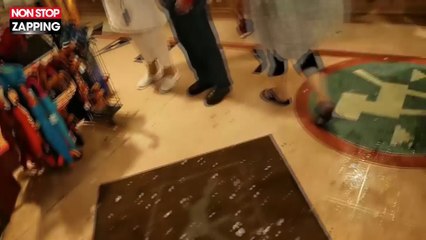 Etats-Unis : une énorme tempête de grêle s'abat sur un zoo et tue des animaux (vidéo)