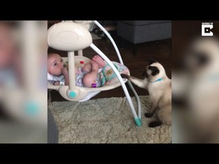 Un chat berce tendrement bébé pour l'endormir