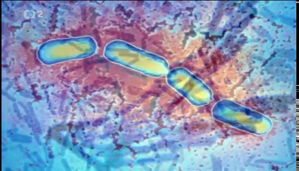 Éčka, gurmánské dobrodružství  2 Díl Konzervanty CZ Dabing  DOKUMENT