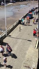 Une mouette attaque des passants et vole leur repas
